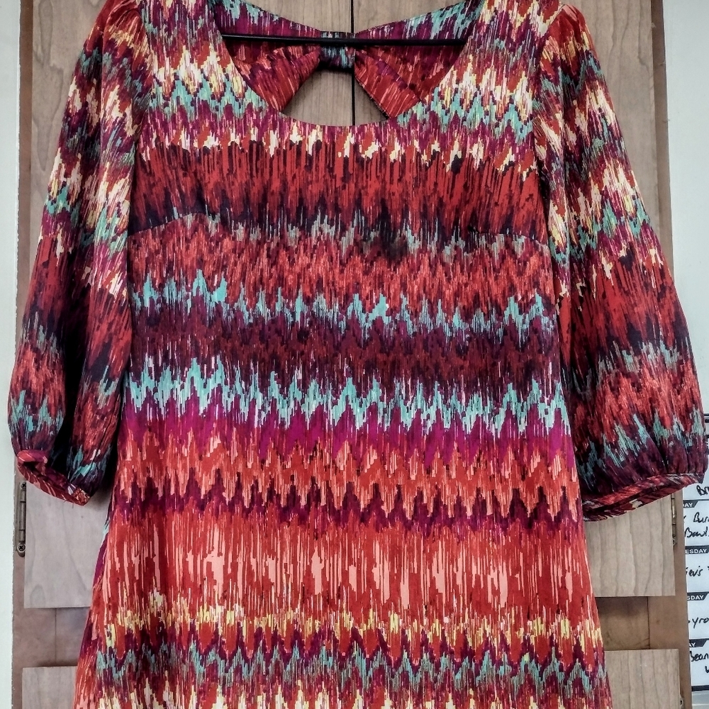Vintage Lily Rose Shift Dress